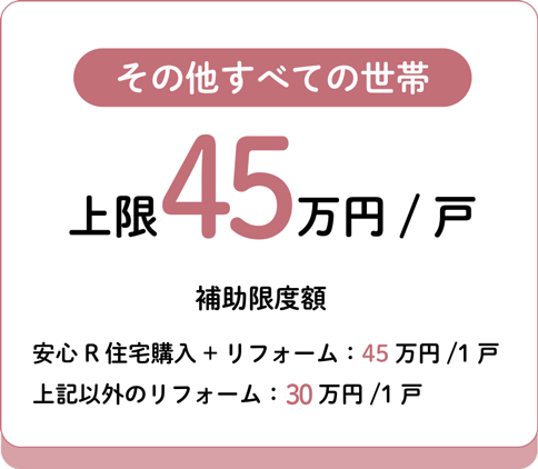 その他 上限30万円